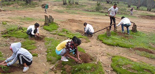 Integrated Community how