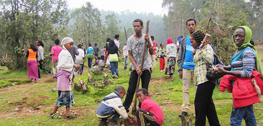 Integrated Community program img3